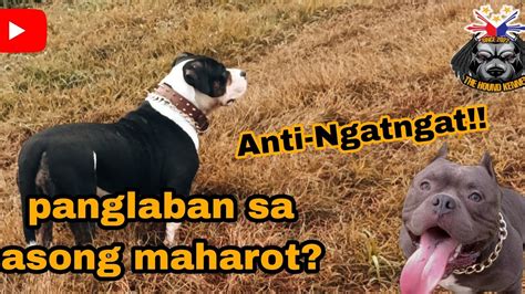 Paano Maiwasan Mag.